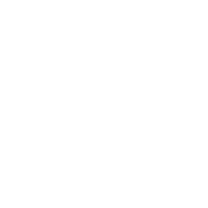 Excellente Preis-Leistung 